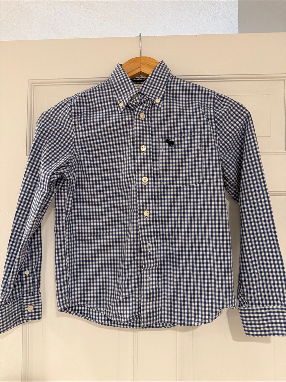 abercrombie kids Blue & White Gingham Button-Down Shirt